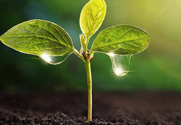 csm_CAPTRON-news-slider-sustainability-2_77632c7eab csm_CAPTRON-news-slider-sustainability-2_77632c7eab